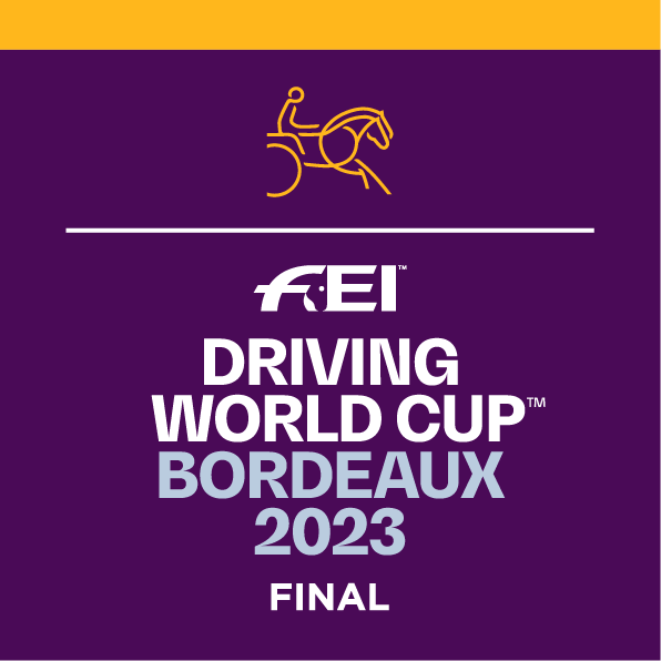 Logo FEI Driving 2023