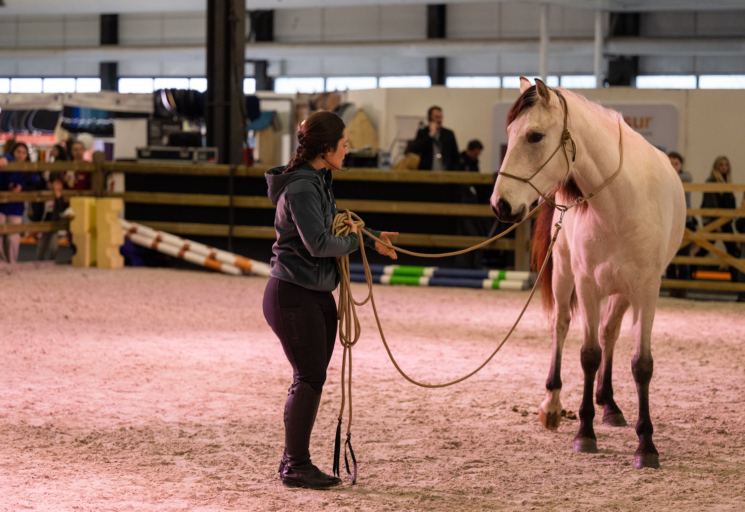 Salon du Cheval Bordeaux International Jumping CSI 5* February, 789