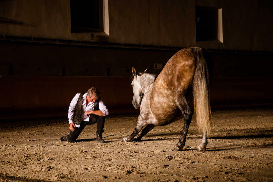 Jean-François Pignon et ses 14 chevaux