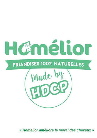 homelior copie.jpg