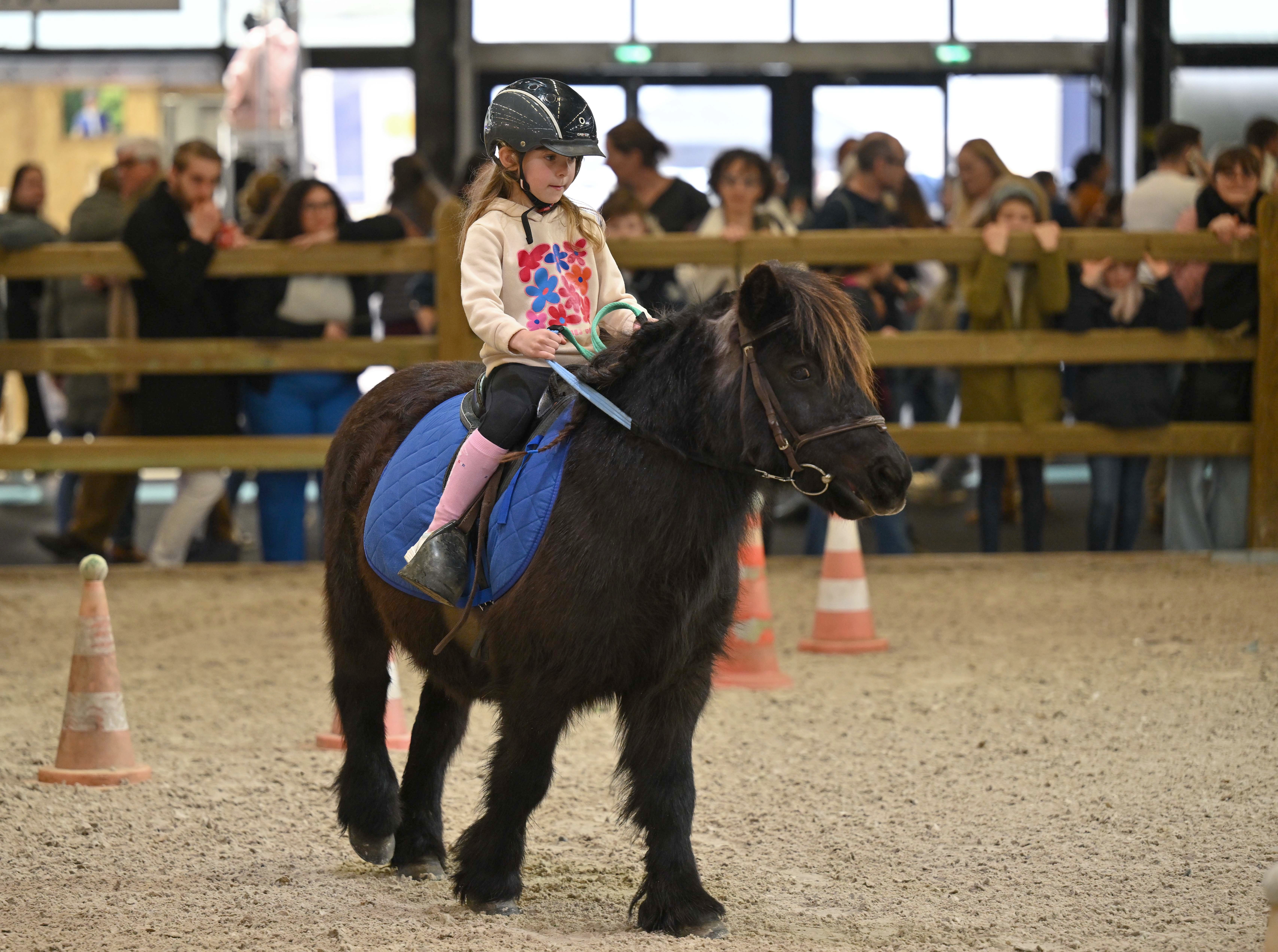 29087bb1e360-Animation-Equifun-ArtisteAssocie-002.JPG