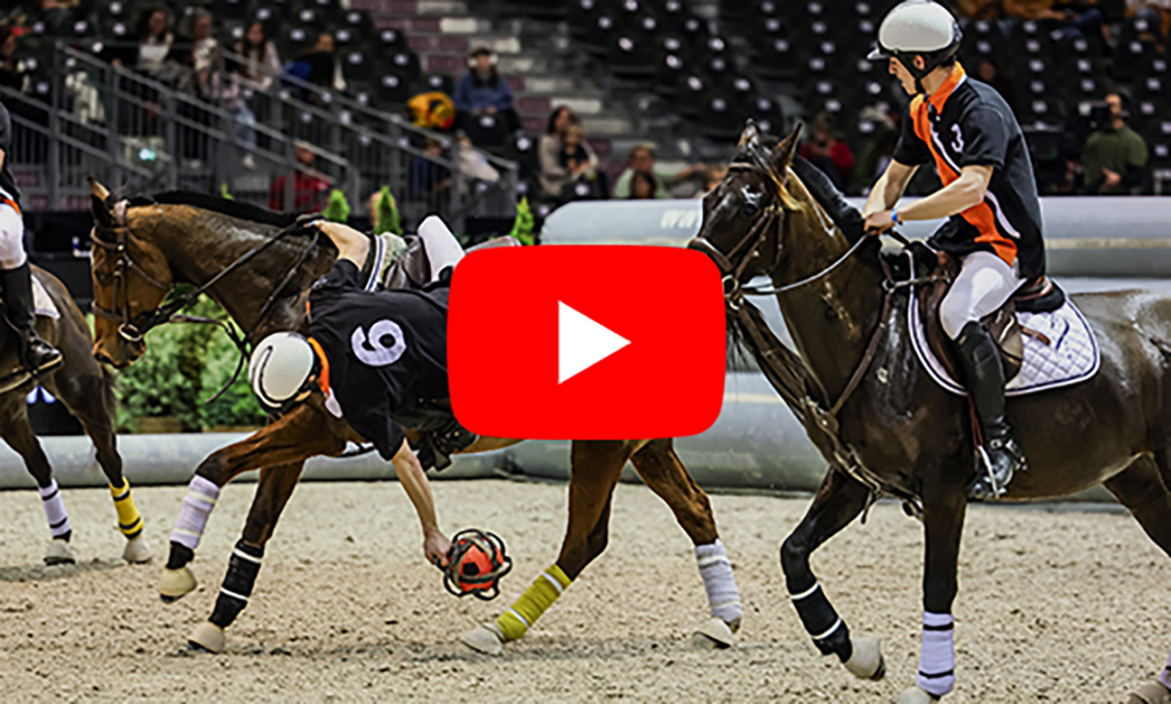 e12f58868408-vignettes-horseball.jpg