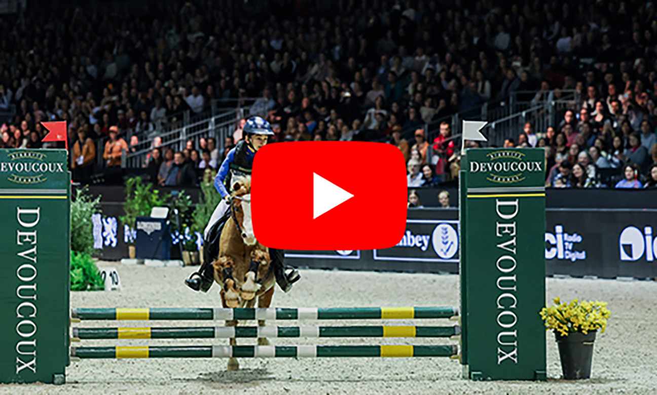 52a52ce4397d-bl_derby-poney.jpg