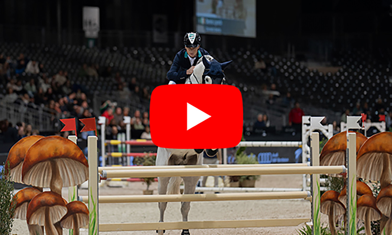 dc248d03963a-bl_vignettes-prix-beam.jpg