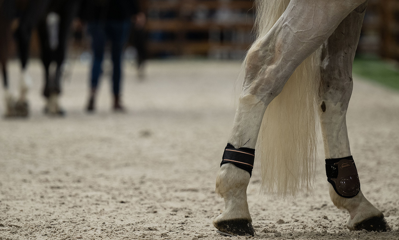 0f669f1f9bad-Paddock-ArtisteAssocie-024.JPG