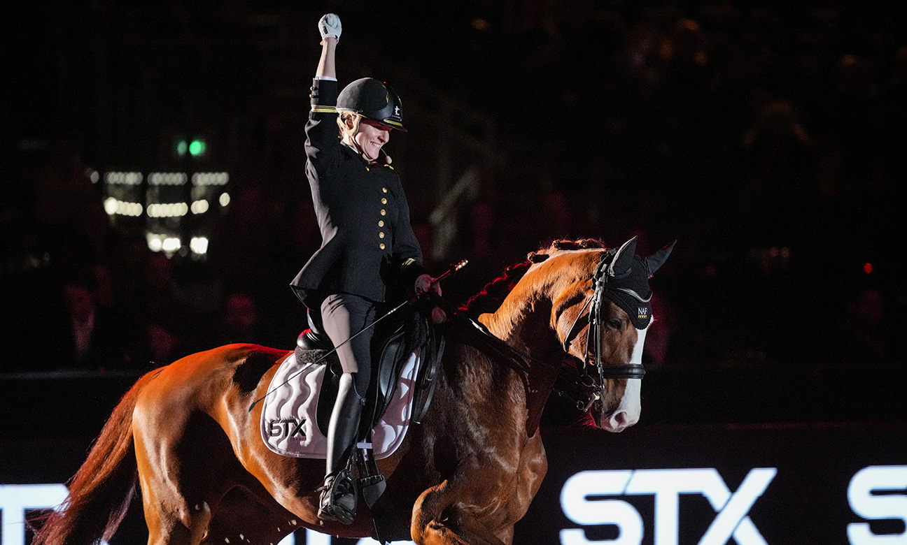 65ef0b4ffd65-Battle-de-dressage-by-STX-ArtisteAssocie-018.JPG