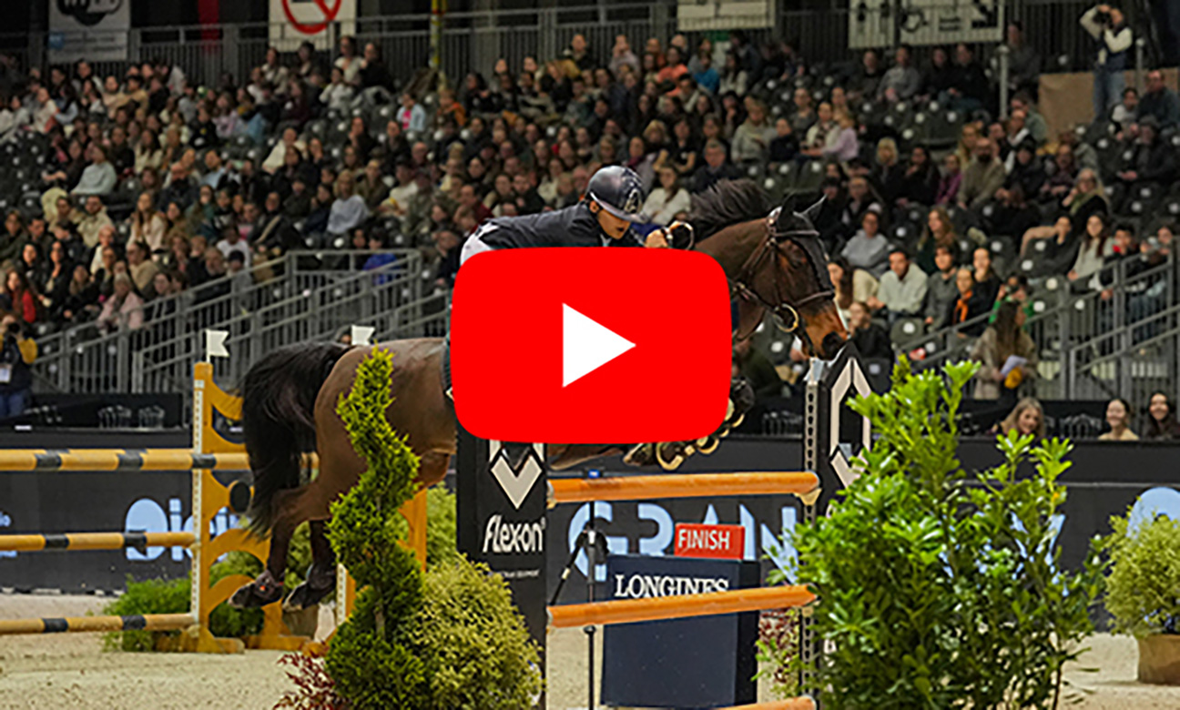 5cb7a36dcdaf-bloc-listes_super-as-poney-vitesse.jpg